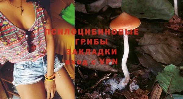ГАЛЛЮЦИНОГЕННЫЕ ГРИБЫ Бородино